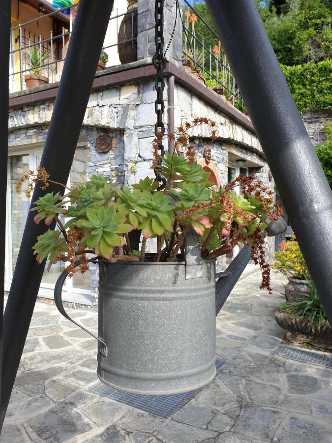 B&B Collina E Mare Camogli Kültér fotó