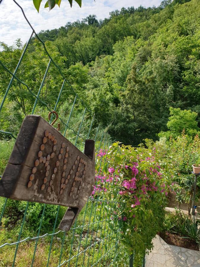 B&B Collina E Mare Camogli Kültér fotó