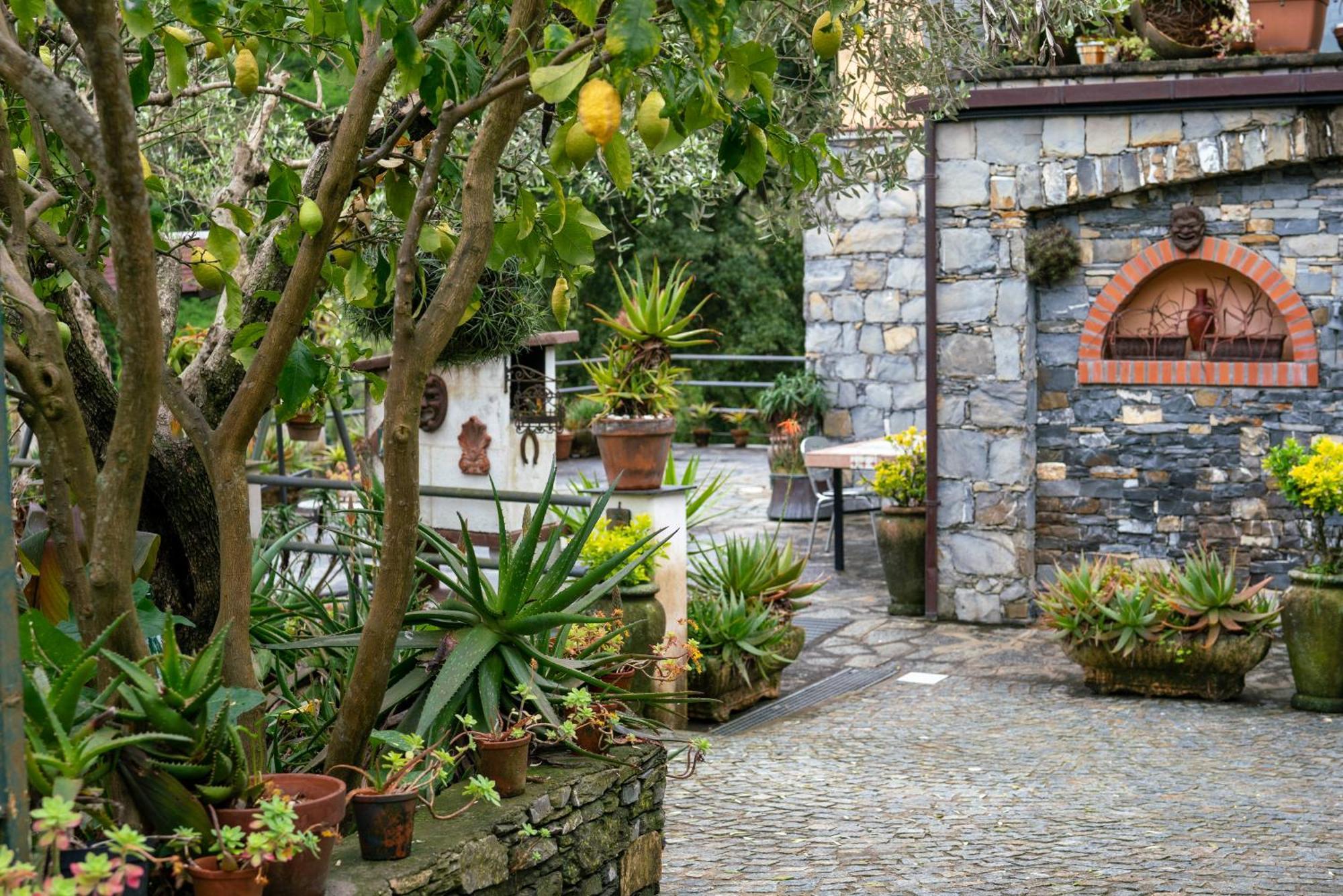 B&B Collina E Mare Camogli Kültér fotó