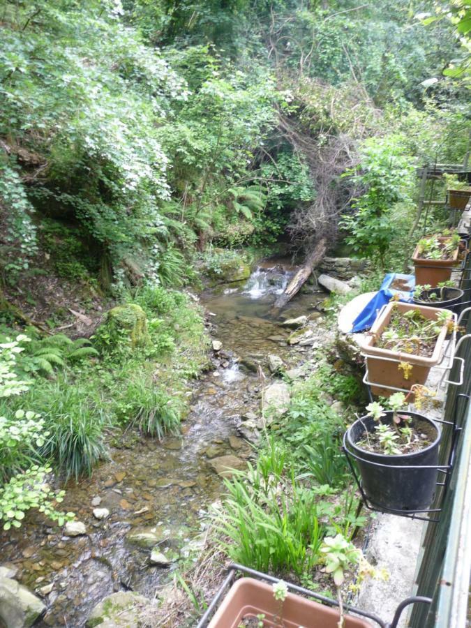 B&B Collina E Mare Camogli Kültér fotó